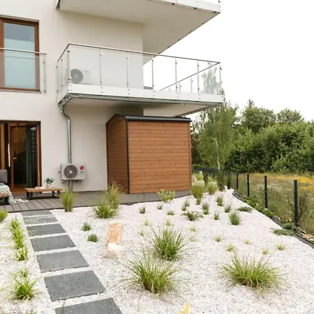 Foggy Forest With Private Sauna