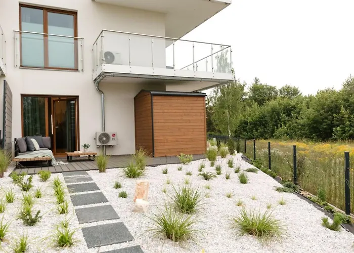 Foggy Forest With Private Sauna